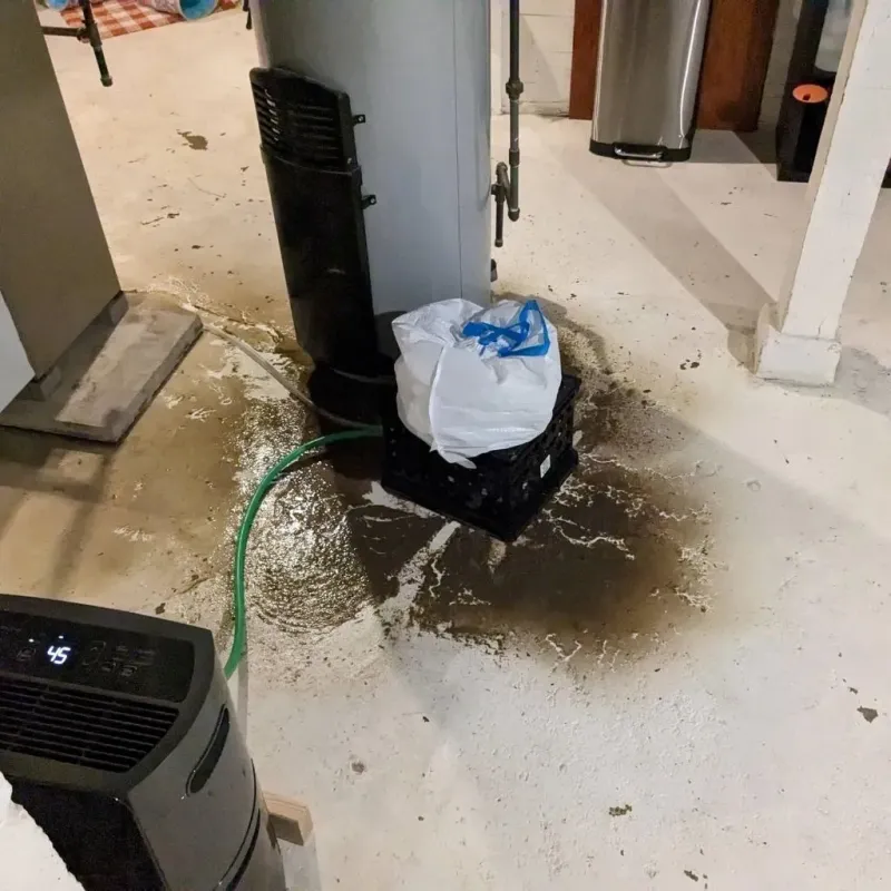 Sewage Backup Cleanup Service in Pixley, CA